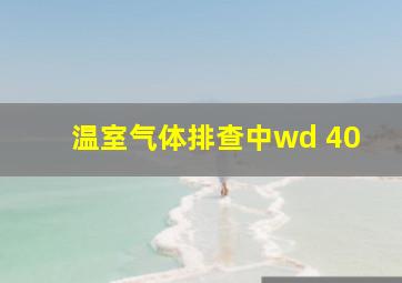 温室气体排查中wd 40